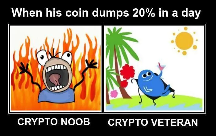 vet v noob.jpg