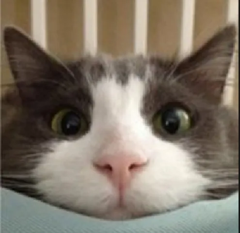 Screenshot_208.jpg