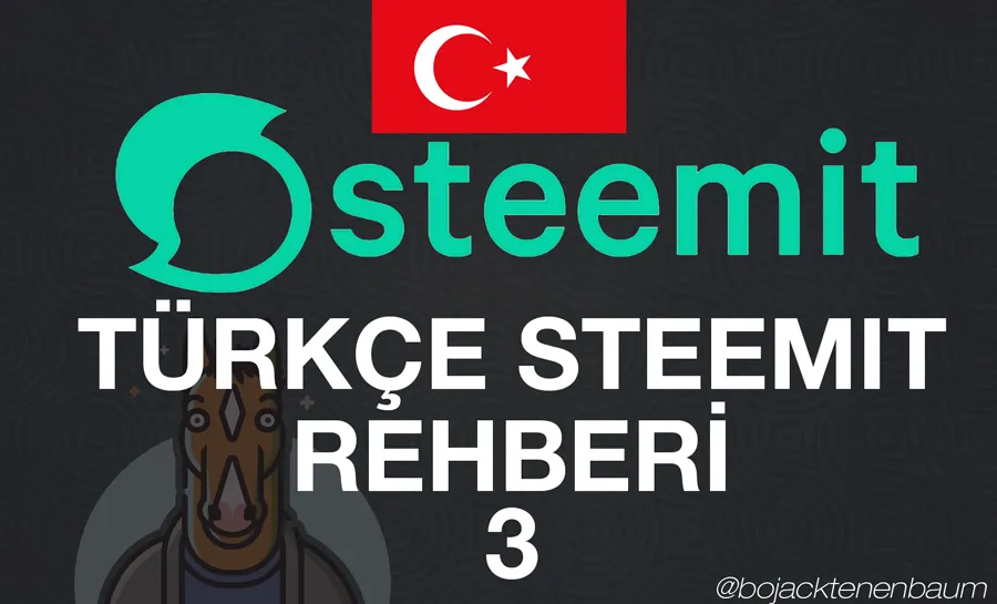 steemitturkce3.png