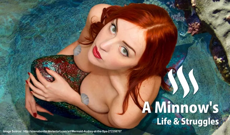 a_minnows_life.jpg