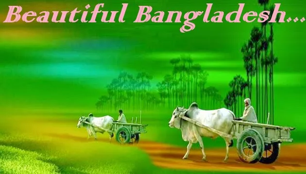 Bangladesh 1.jpg