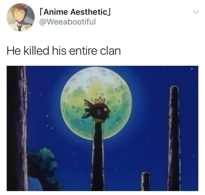 1514306939096.jpeg