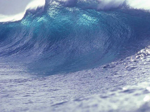 Tsunami wave.jpg