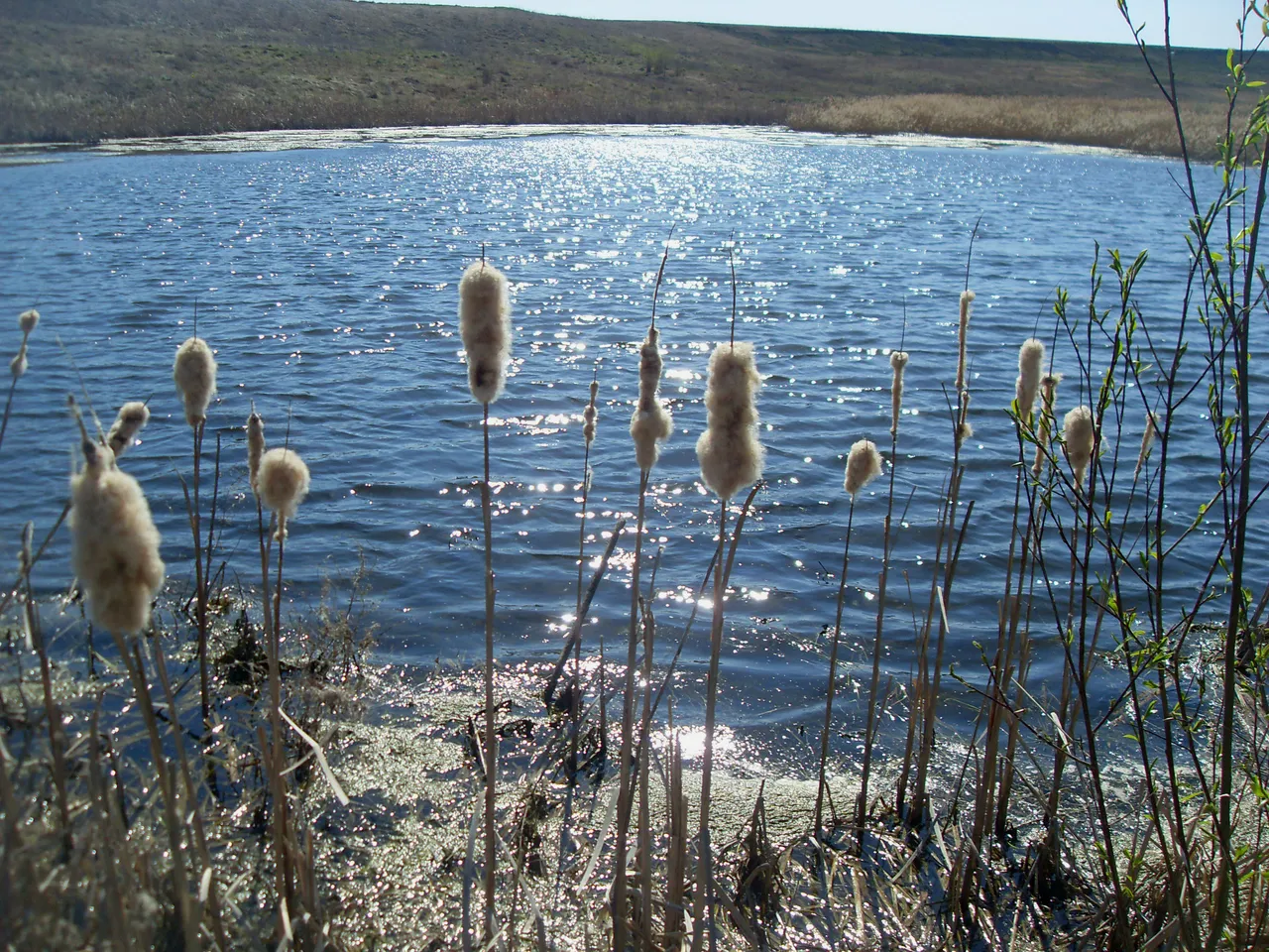 SDC16636-16636.jpg