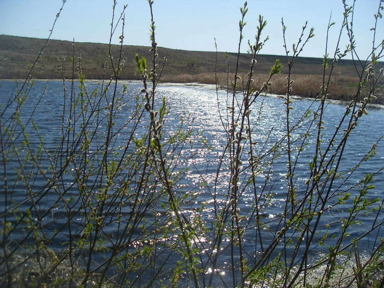 SDC16632-16632.jpg