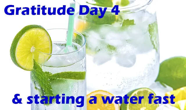 gratitude-day4.jpg