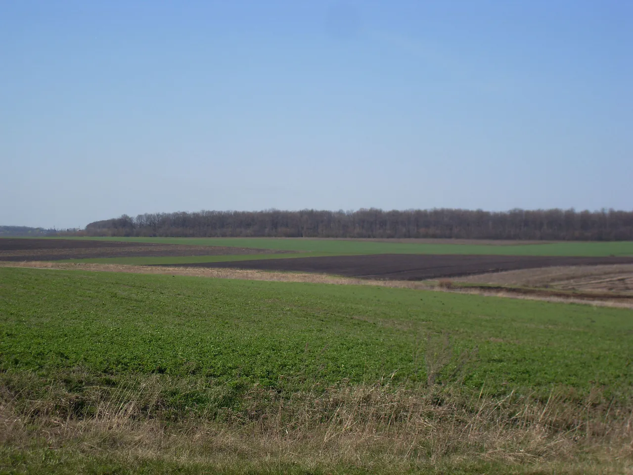 SDC16652-16652.jpg