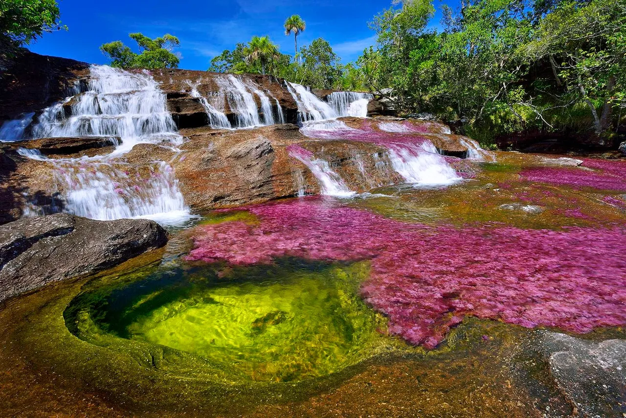 cano-cristales.jpg