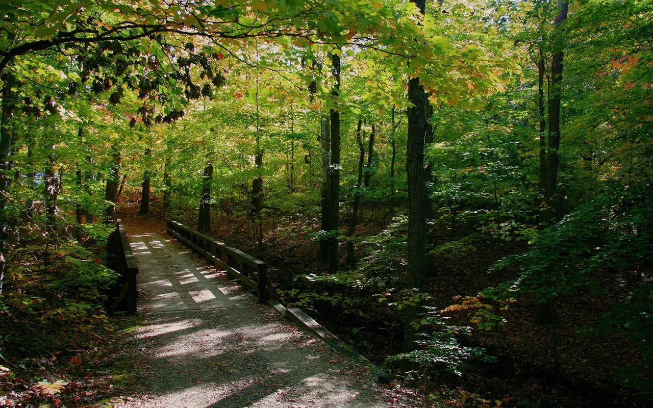 Spring Trail.jpg