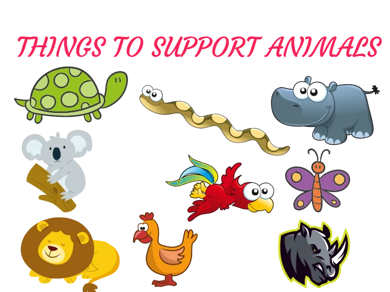 support_animal.png