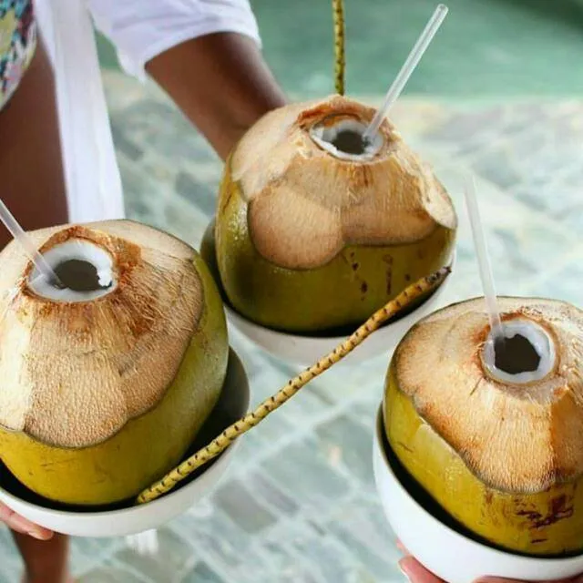 Cold Coconut.jpg