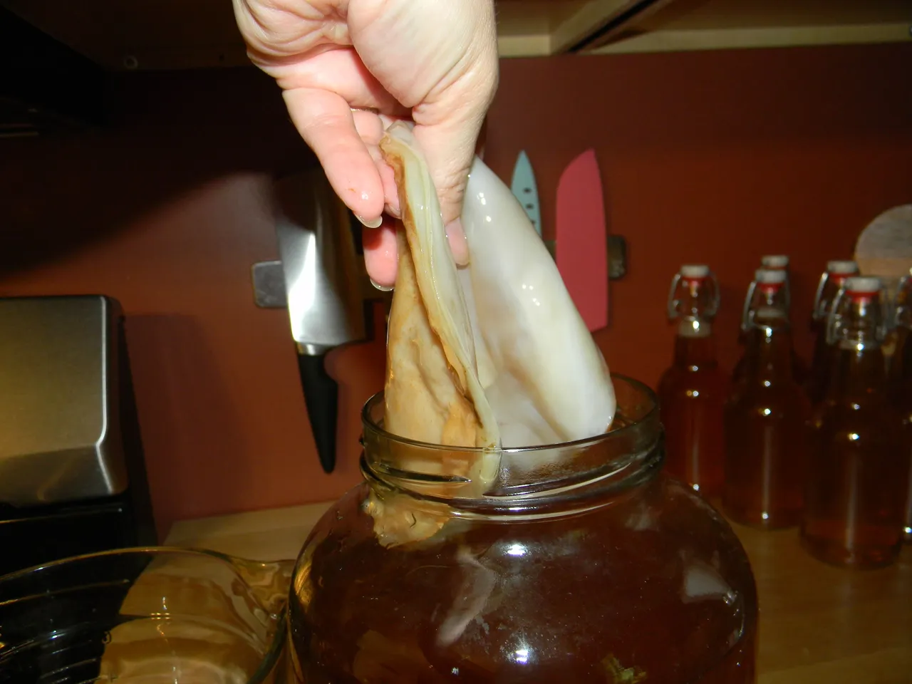 pickingupscoby.JPG