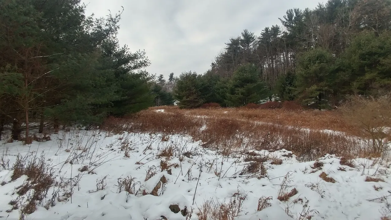 1218171023_HDR.jpg