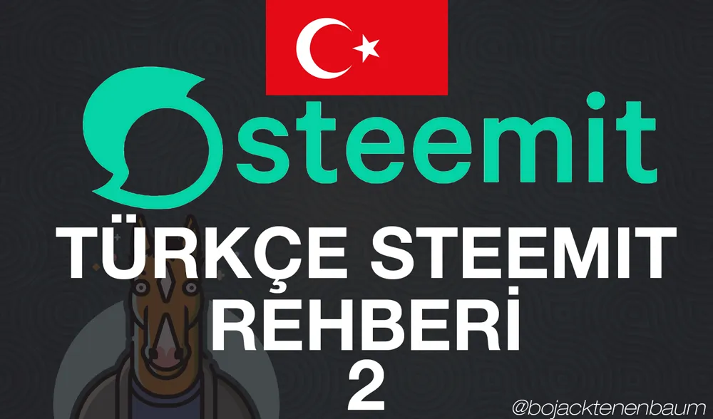 steemitturkce2.png