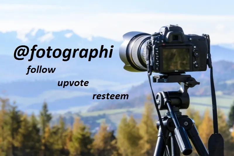 @fotographi.jpeg