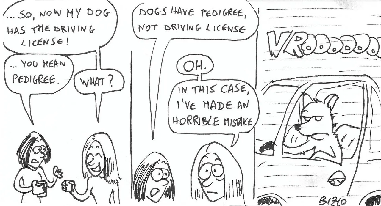 drivingLicense.jpg