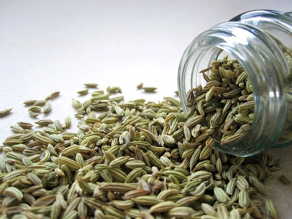 Fennel seeds.jpg