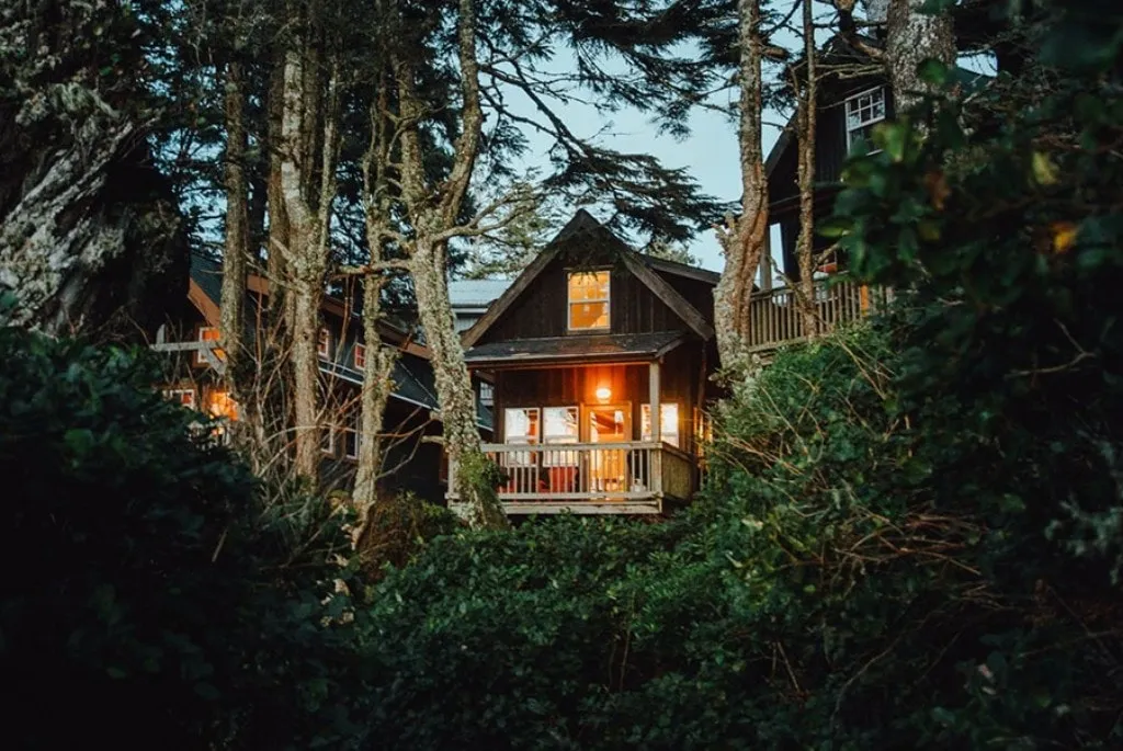 ucluelet cabin.jpg