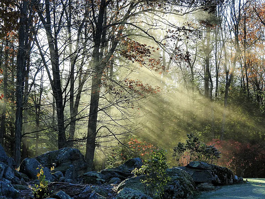 Throwback Thursday - Five Flashback Fall Fotos