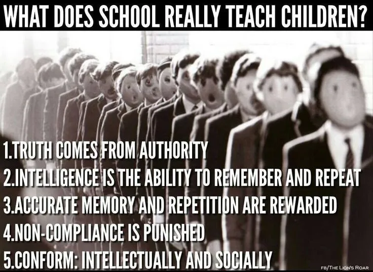 31 best Democrats Indoctrination images on Pinterest