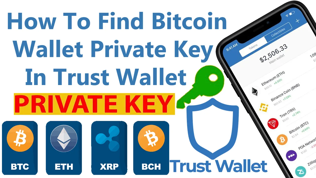 How To Find Bitcoin Wallet Private Key In Trust Wallet By Crypto Wallets Info.jpg
