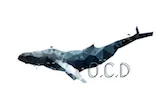 C3TZR1g81UNchGPKLQuxAL7oEwDJ42cT977qXjChRkkG71XDNJWXWGNgrEJwJoFMyzSHnVPMU9WmP4gMneUxWGPbYfh8FXuuamq7y2YDXMTuJkFzzueCTVY.png