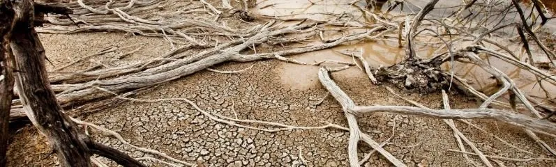 Climate Change May Bring Disasters and Deeper Poverty to Asia