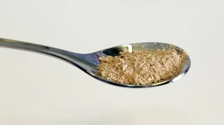Finns create protein out of air and energy