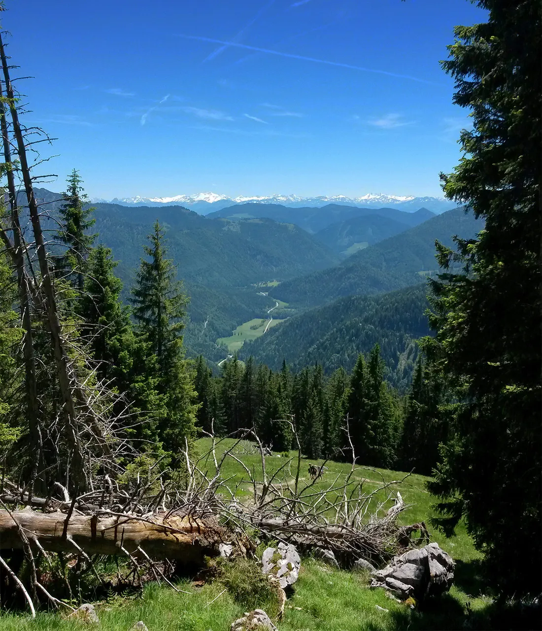 Schnee Berge