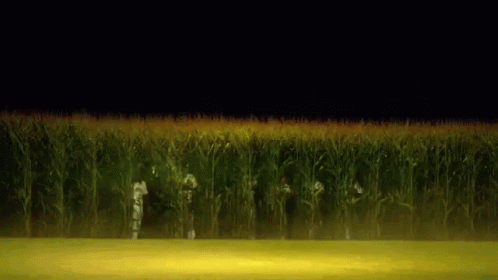 untitled.gif