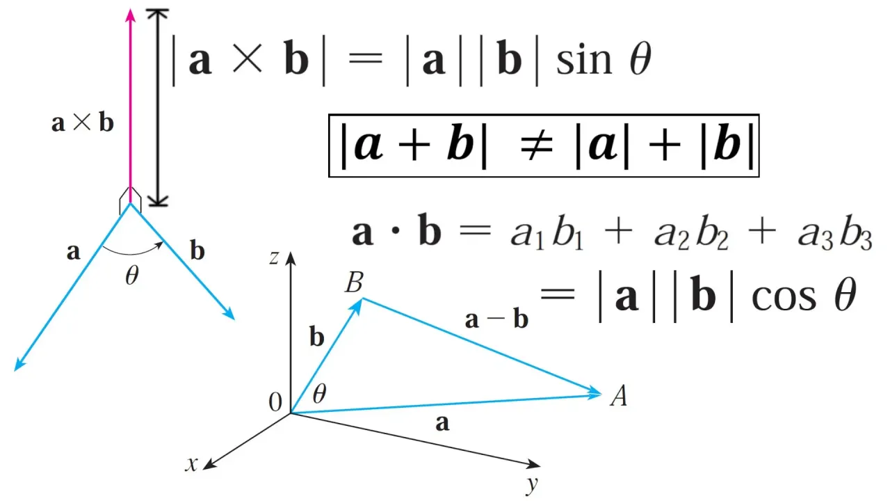 c5vXt8FjNbWZ2Y8B_1_Questions_1-4_False_Statements.webp