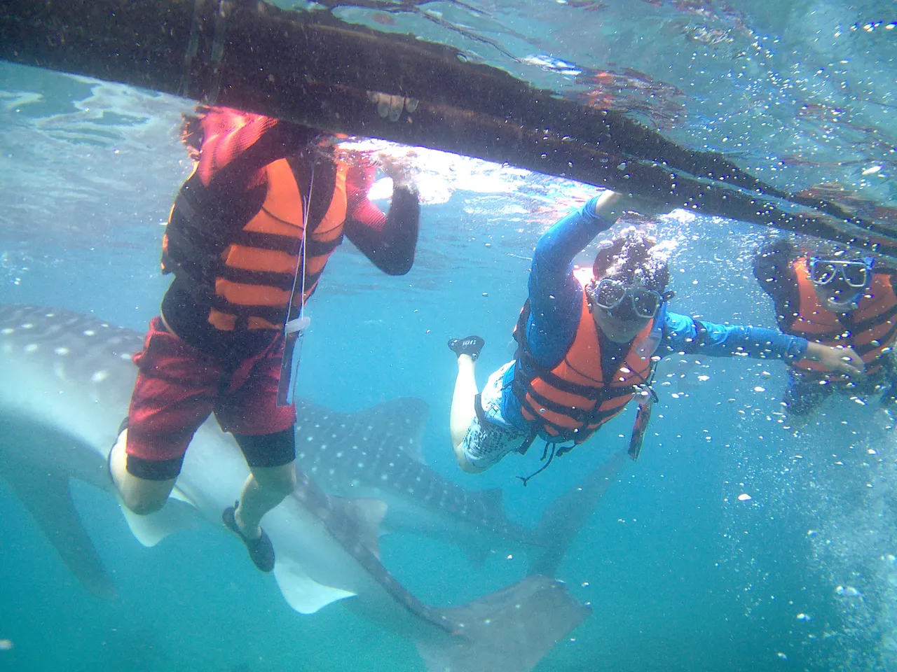 Oslob Whaleshark Watching and Kawasan Canyoneering10.jpg