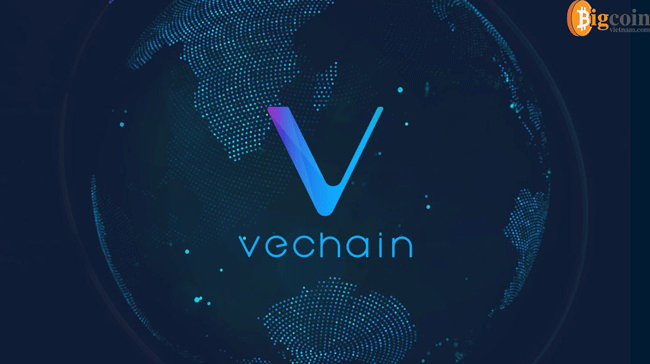 dieu-gi-khien-gia-iot-vechain-tang-dot-bien-len-50-sau-mot-dem.gif