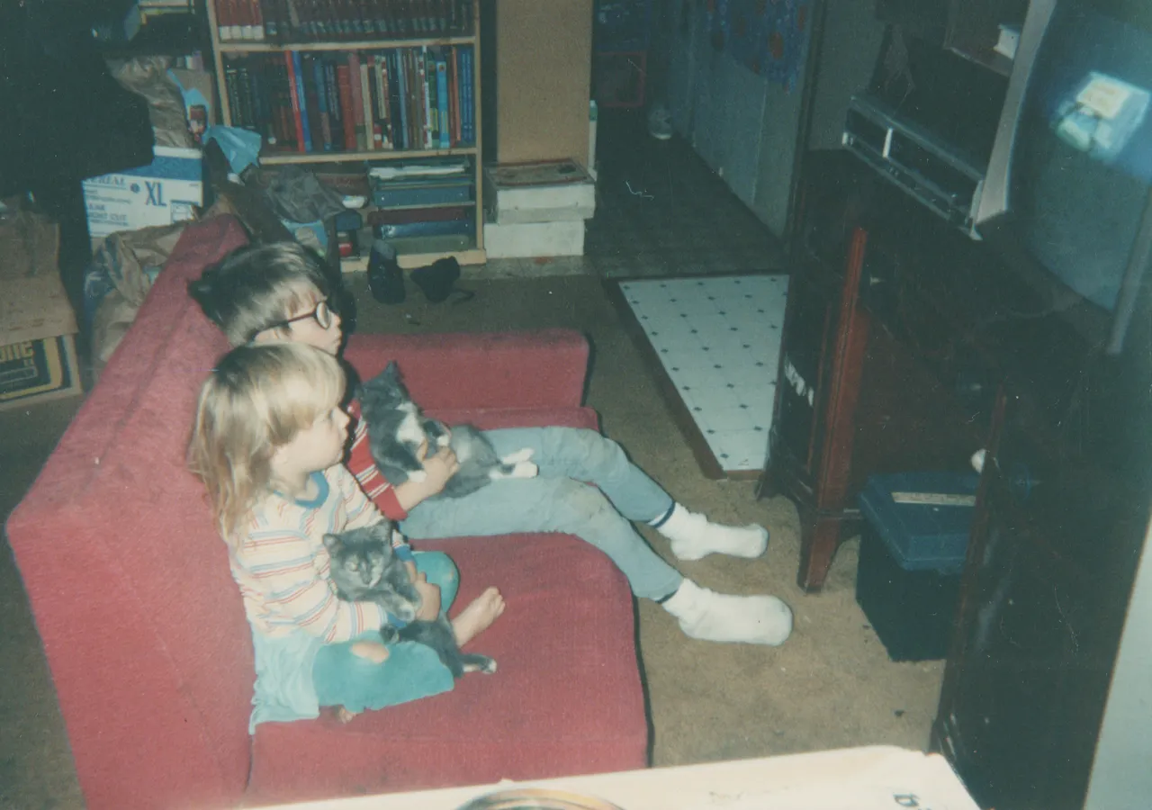 1992-12 Joey Crystal Cats watching turtles on tv.png