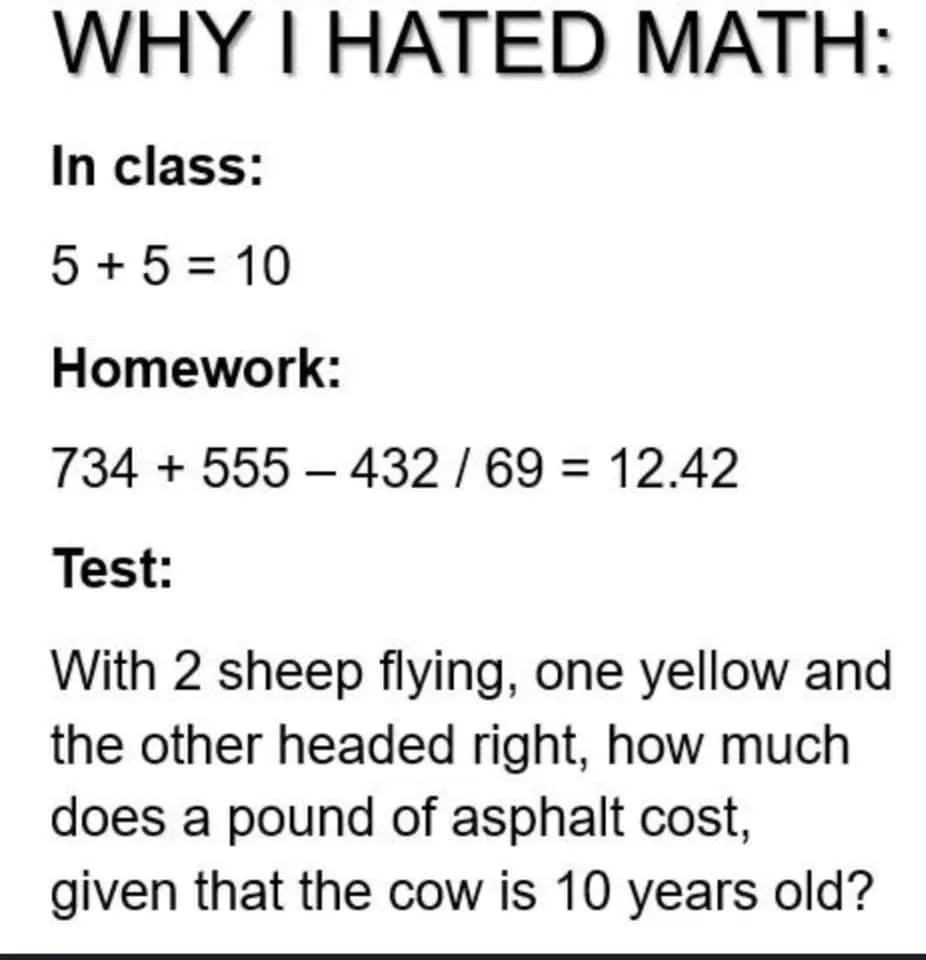 Math Problem Sheep Cow Asphalt Flying Left Right.jpg
