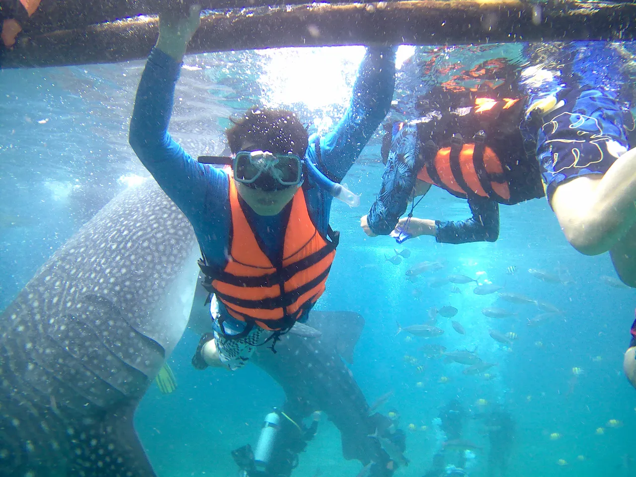 Oslob Whaleshark Watching and Kawasan Canyoneering12.jpg