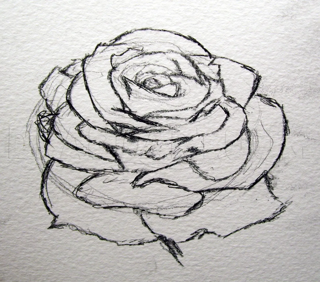 how-to-sketch-a-rose-step-3_5e4c87fc931a52.82134908_27029_3_3 (1).jpg