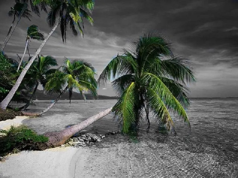 e811125e42e7a484f405217dd929fc75--beautiful-beach-beautiful-places.jpg