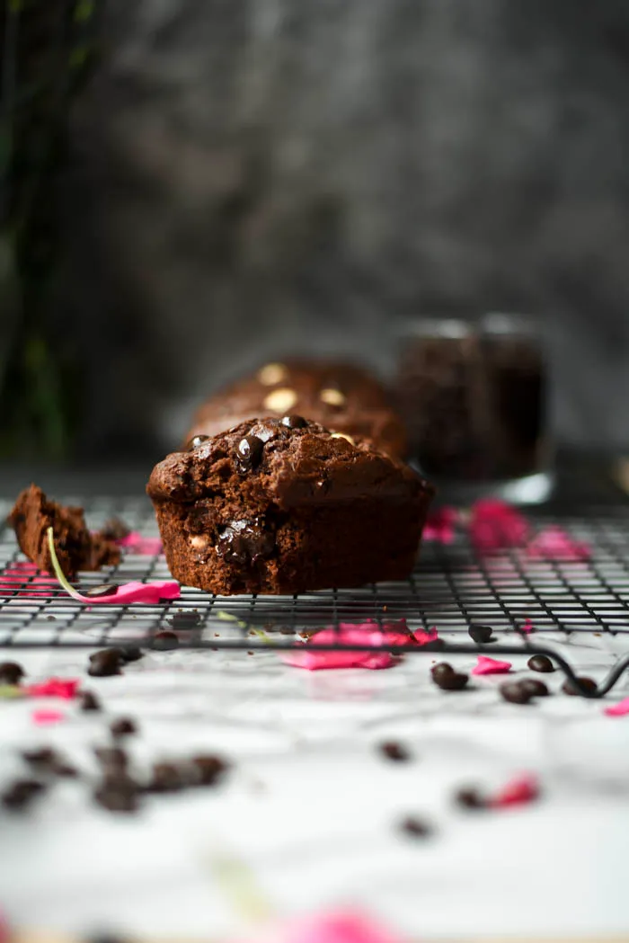 Dark Chocolate Covered Espresso Bean Mini Loaves (8).jpg