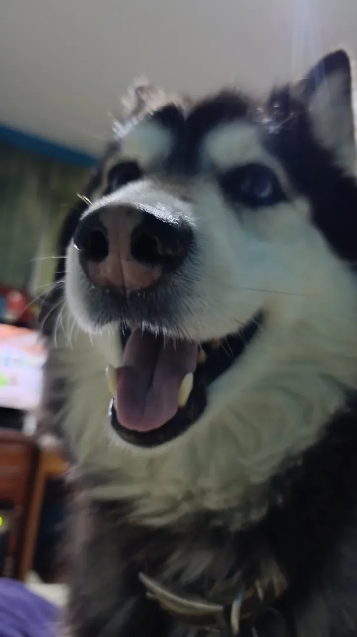 XG5OJdq8vTfrLMnG_1000387236.webp