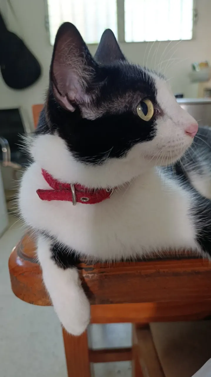 ox6MYR8VHtTbxuem_1000367108.webp