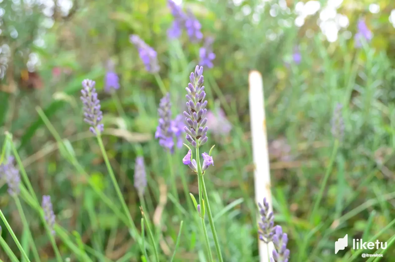 nTzZIHIY82rPk9Jo_DSC_0200.webp