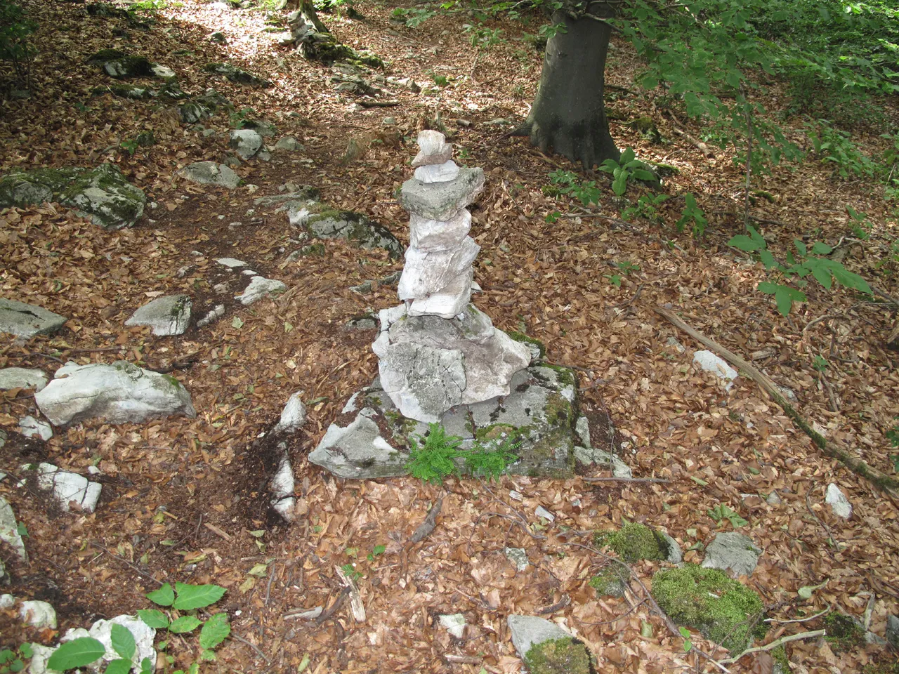 Gaisberg 2019 016.JPG