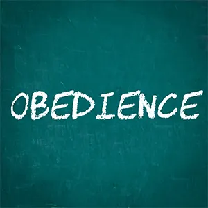 obedience-article-pic.jpg