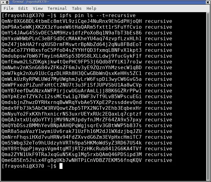 ipfs-pin-ls-recursive.png