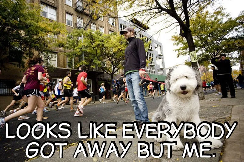 dogday_unleashed_fury.jpg