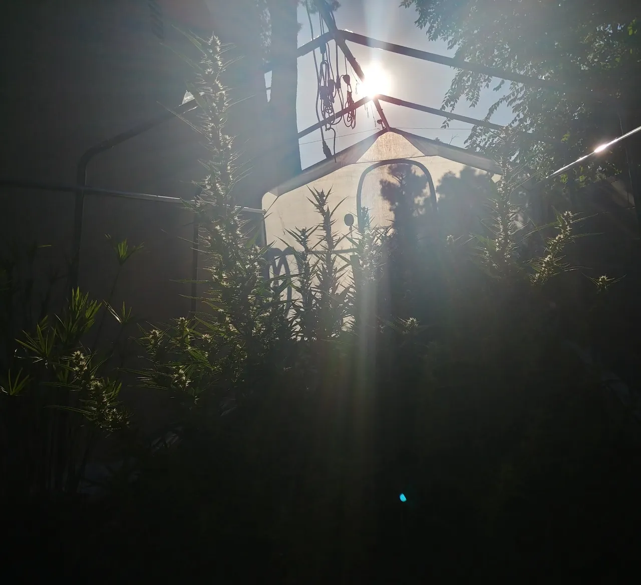 20180909_174737_HDR-1.jpg