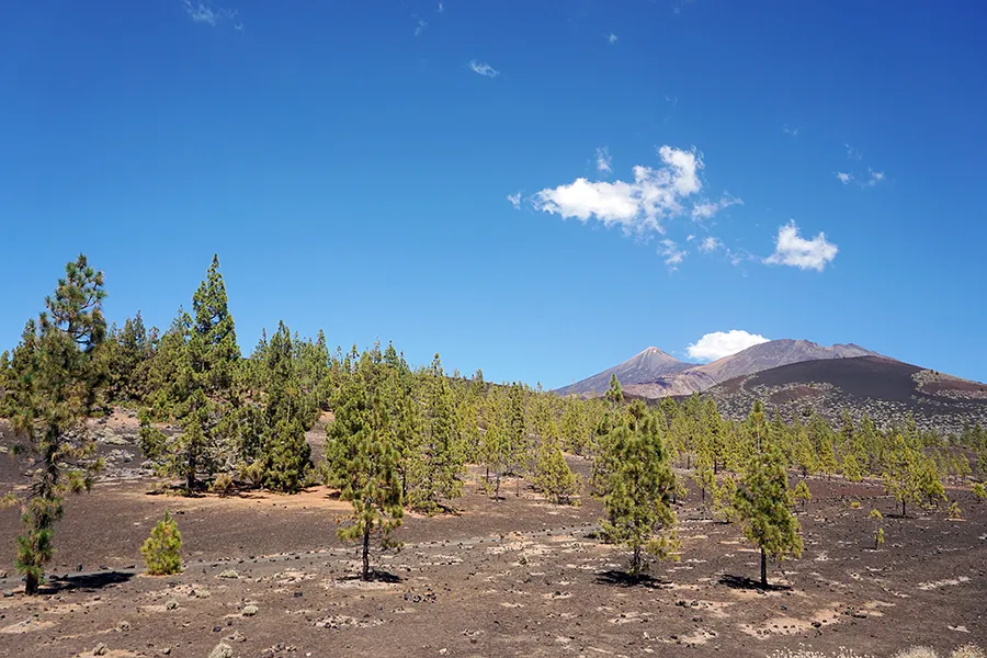 Mount_Teide_pre_004_s.jpg