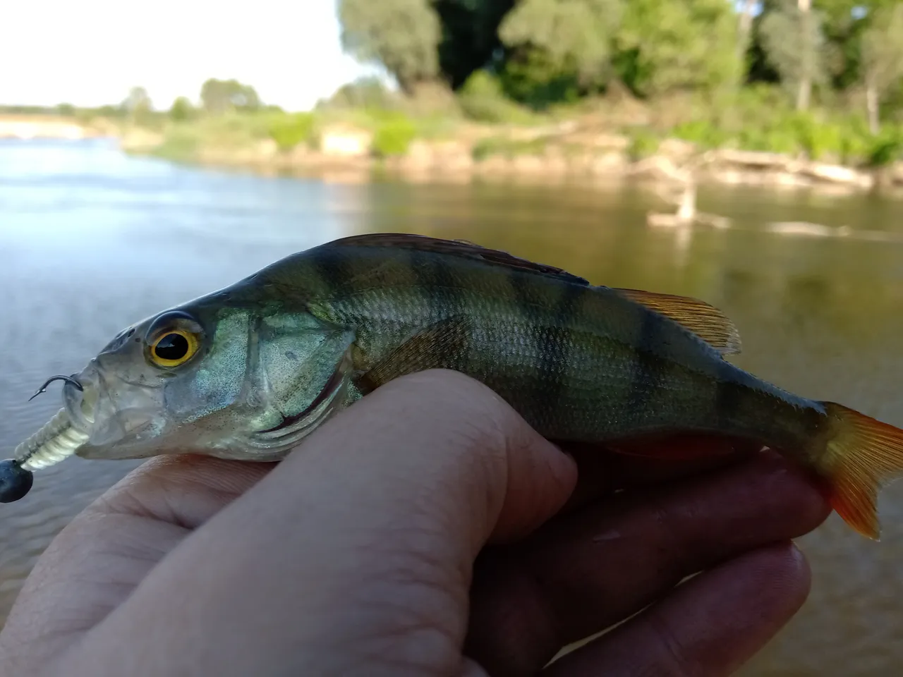 MVIMG_20190701_071400.jpg