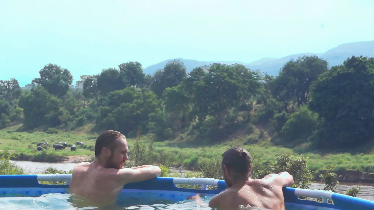 david_ash_pool_hippos.jpg